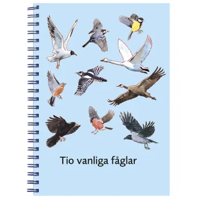 Tiovanligafaglar image