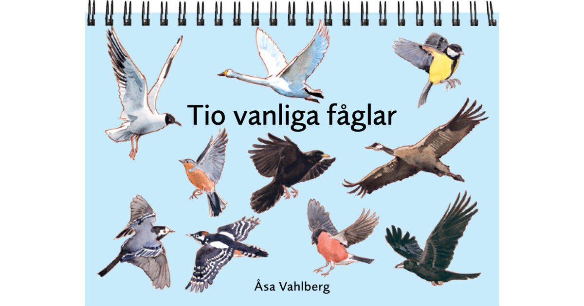 Katya Sambuka, lezbiyen va uning dosti (video)