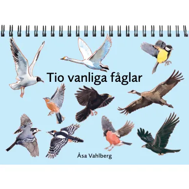 Tiovanligafaglar fickbok image
