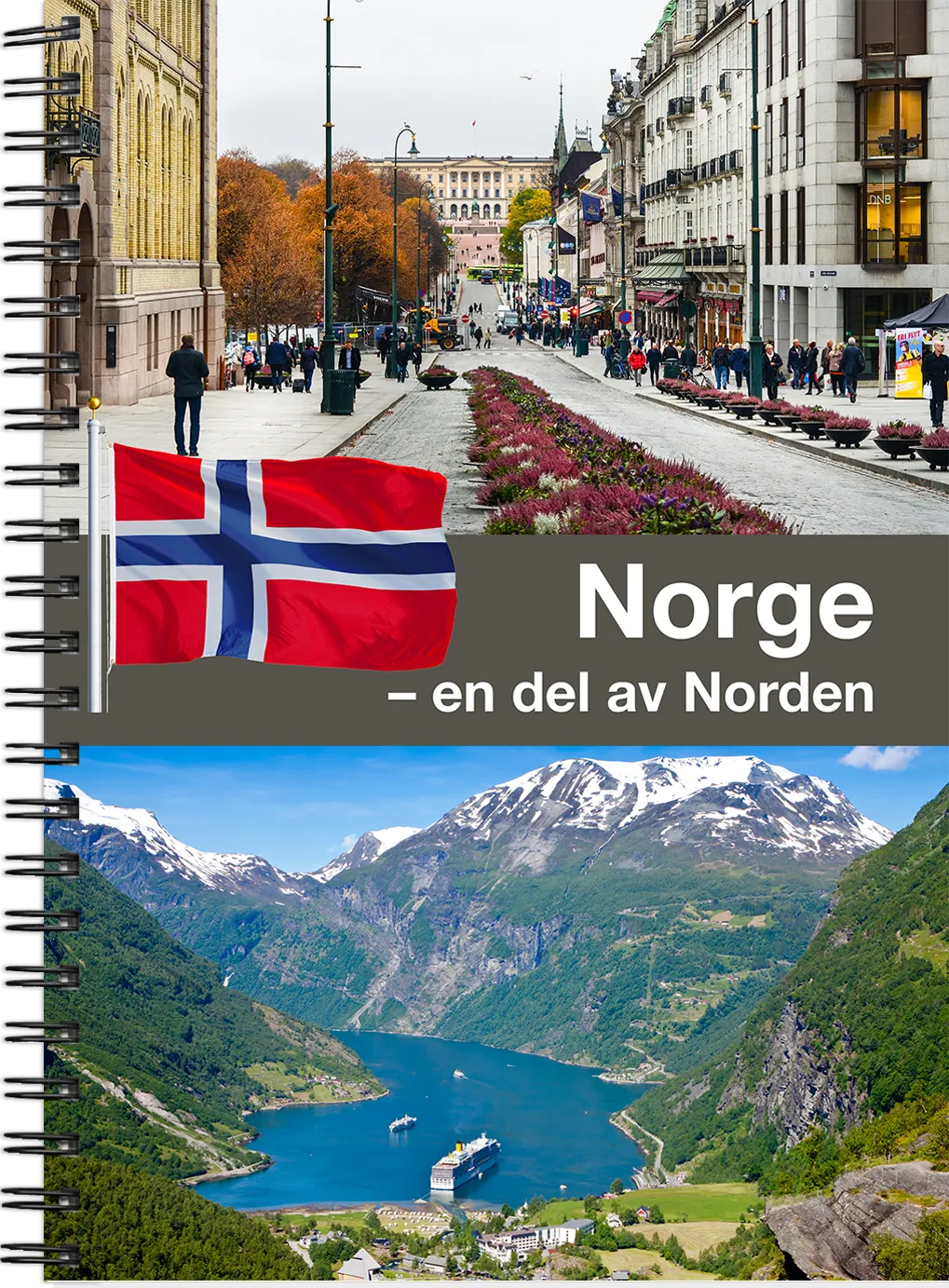Norge en del av Norden image