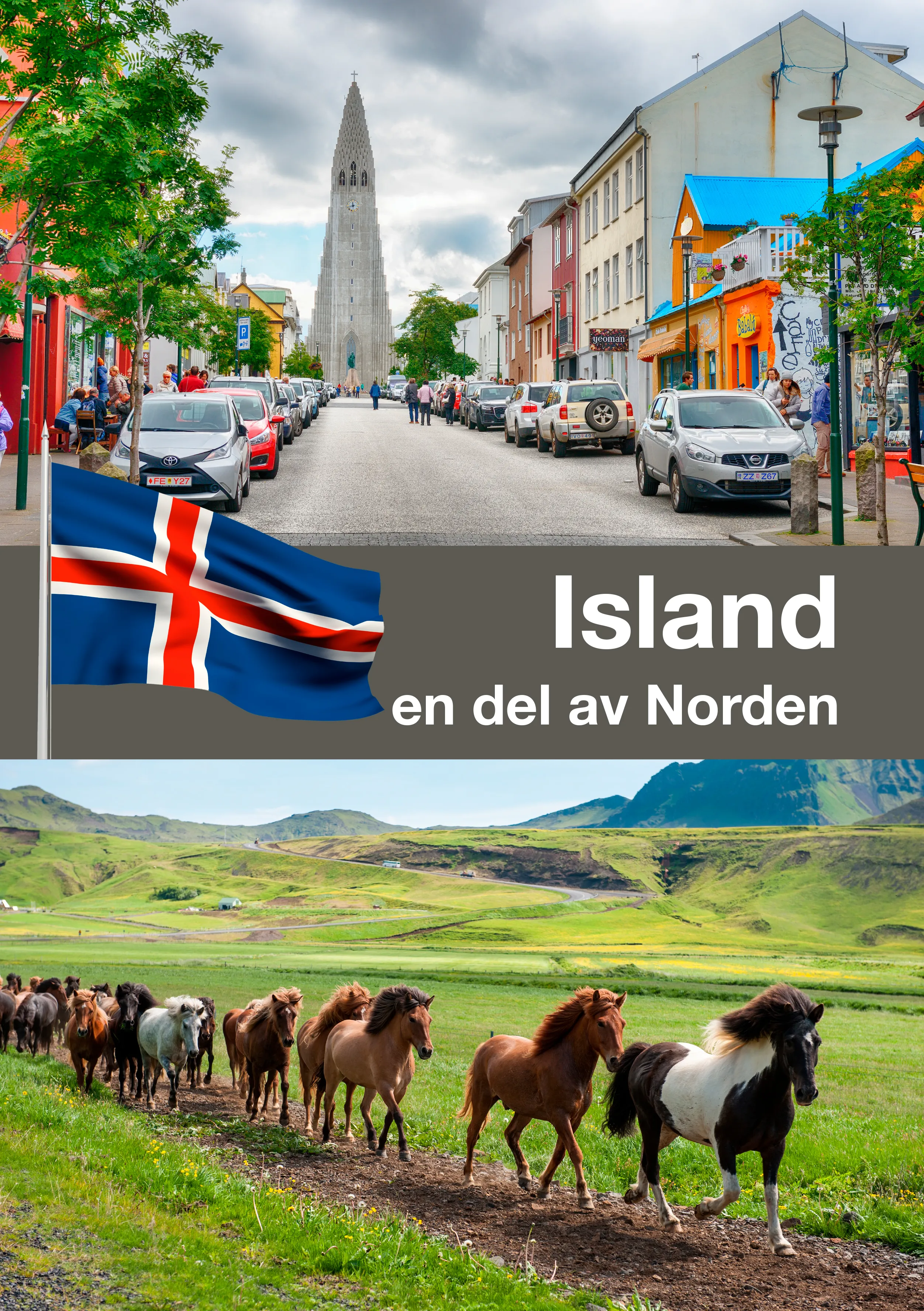 Island en del av Norden image