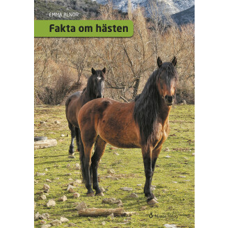 Fakta om hästen image