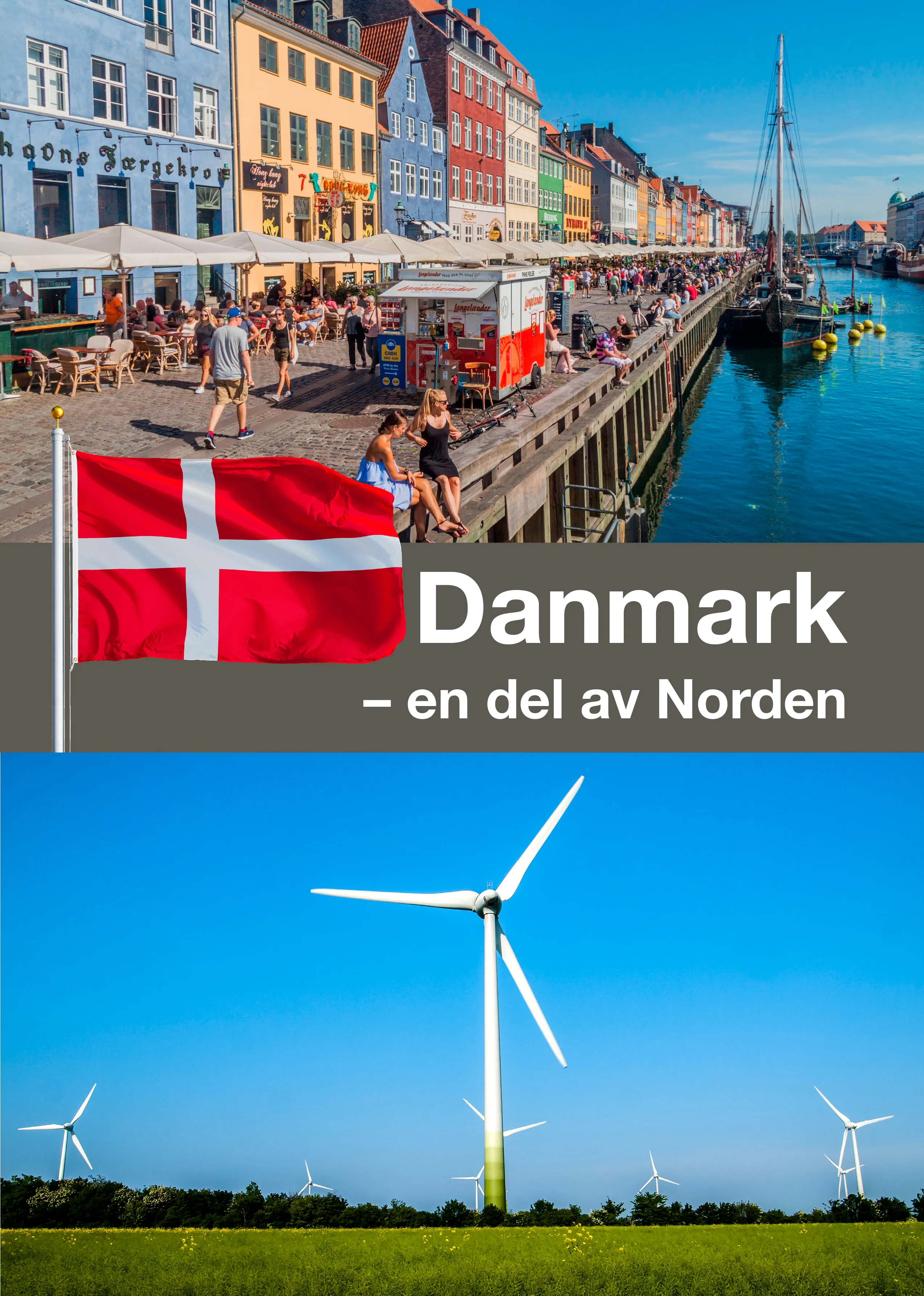 Danmark en del av Norden image