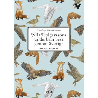 Nils Holgerssons underbara resa genom Sverige image