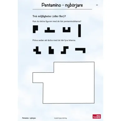 0401 Pentamino 3422 image