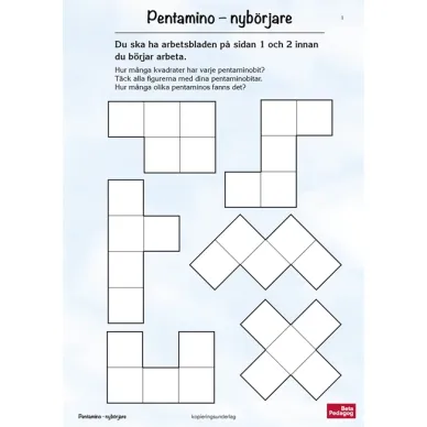 0401 Pentamino 343 image