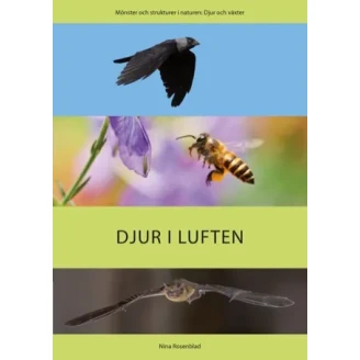 Lätt om: Djur i luften image