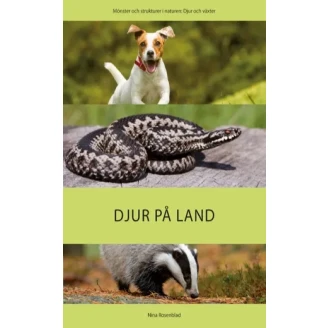 Lätt om: Djur på land image