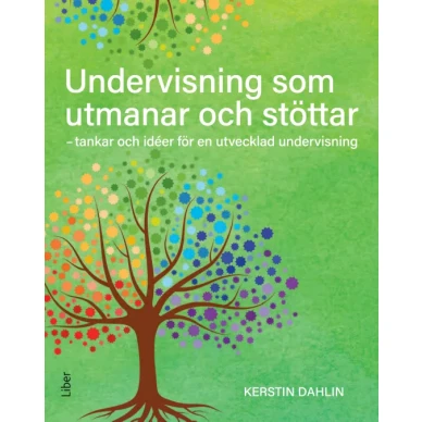 Undervisning som utmanar och stottar image