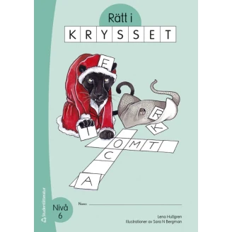 Rätt i krysset Nivå 6 image