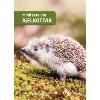 Minifakta om igelkottar image
