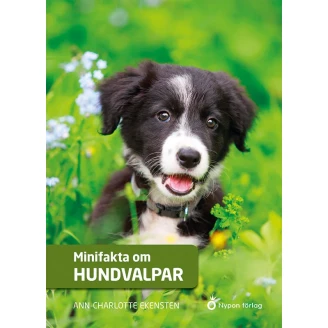 Minifakta om hundvalpar image